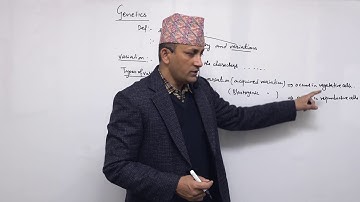 Class 12 Biology Genetics part 1