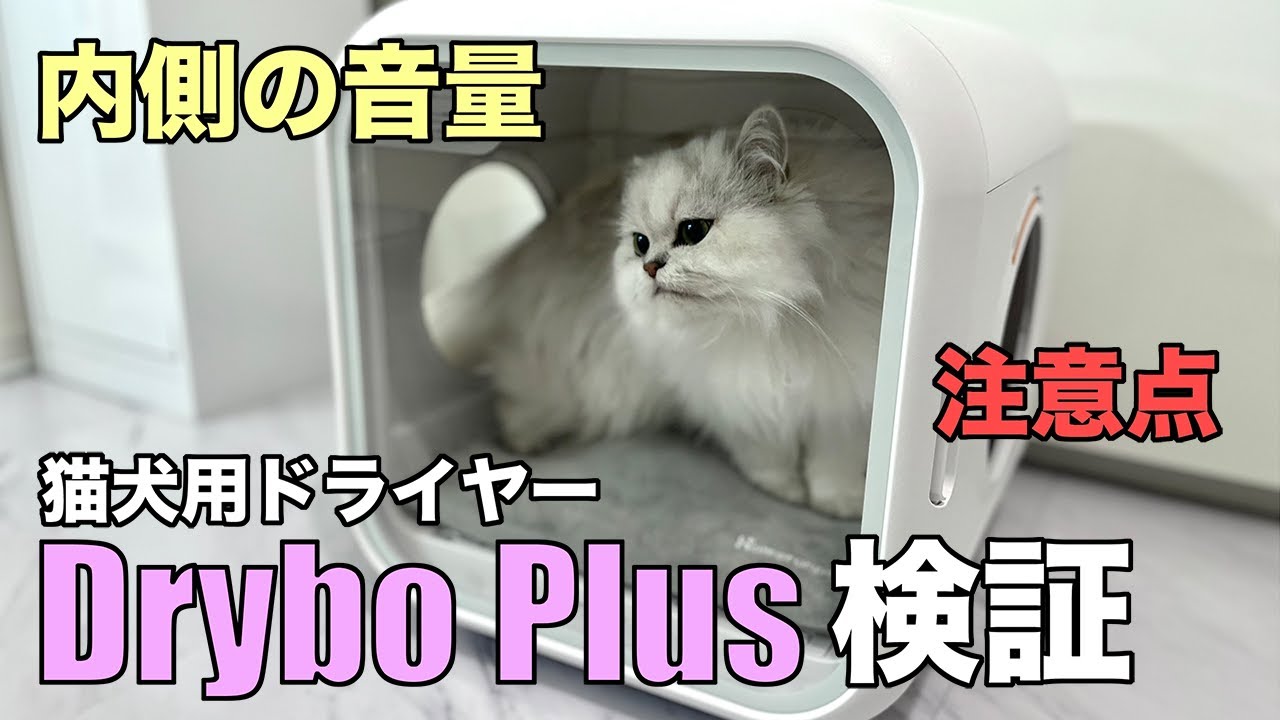 Homerunpet | Drybo Plus ベッドにもなるペット用ボックスドライヤー