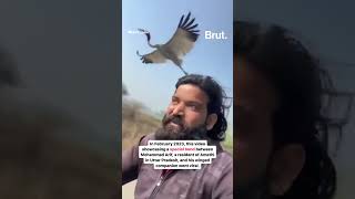 The heartwarming story of Mohammad Arif and a sarus crane took an unexpected turn…