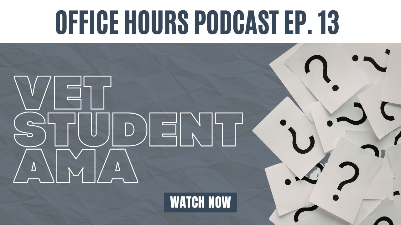 Vet Students Asked Us Anything About Contracts — We Held Nothing Back