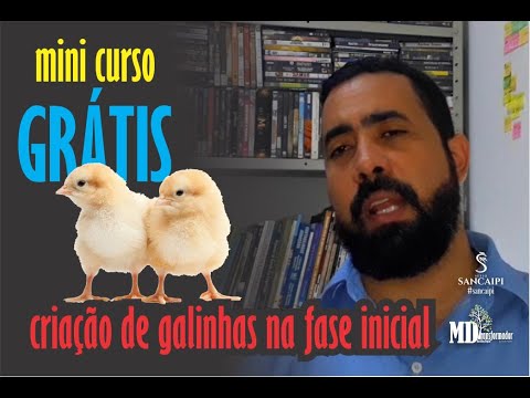 criação de GALINHAS CAIPIRAS na FASE INICIAL | MINI CURSO GRÁTIS criação de GALINHAS CAIPIRAS na FASE INICIAL | MINI CURSO GRÁTIS