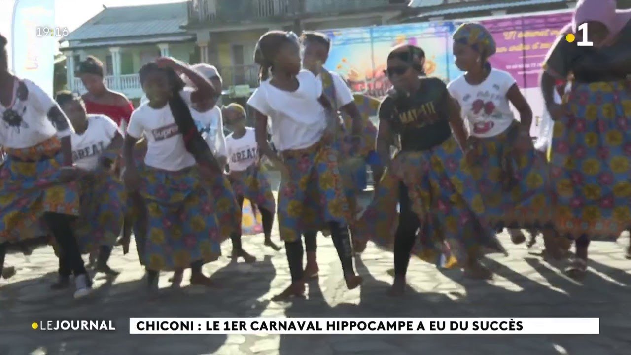Chiconi: Le 1er carnaval hippocampe a eu du succès.