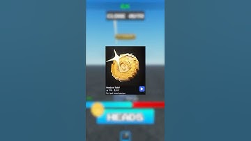 Roblox Game: Heads or Tails?