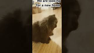 13 De Dezembro De 2024