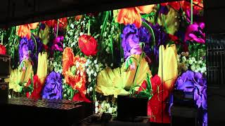 Why is the LED flexible soft screen is not so hot and popular? screenshot 3