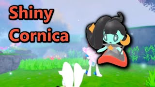 The Cornica Story A Journey Of Finding A Second Shiny Tales Of Tanorio