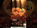 ALLAH🕋✅🎁👑🕋