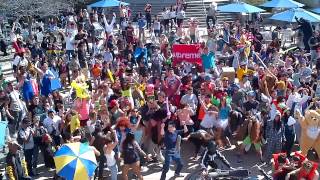 UCSD Harlem Shakedown 2013