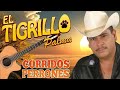 🔥 El Tigrillo Palma | Corridos Perrones de Pura Calidad - Grandes Éxitos 🔥