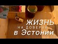 Жизнь в Эстонии. О доверии.