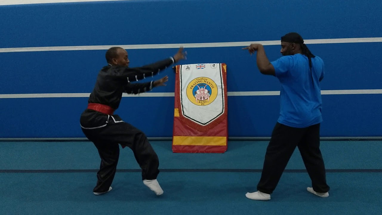 Fighting Application Northern Praying Mantis Kung Fu Vid 37 Sifu