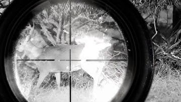 The Original Scope Enhancer  30 Commercial HD