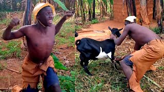 The Thief Steals Goats