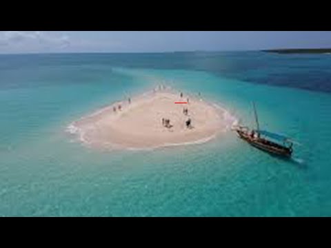 Zanzibar - Safari blue, Kwale Island, Old Baobab, Menai Bay - Edited by Carmine Salituro