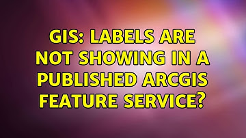 GIS: Labels are not showing in a published ArcGIS Feature Service?