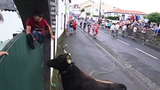 Tourada à corda in Biscoitos, 2022