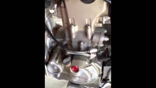 IMG 0340