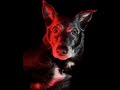 1/30/26 Dookie stream of Black ops 2 with a mod menu