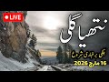 #nathiagali weather today | #murree nathiagali latest update | in nathiagali #snow possible on eid
