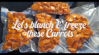 Let's Blanch Some Carrots by A Little Bit of This 232 views 1 year ago 7 minutes, 53 seconds
