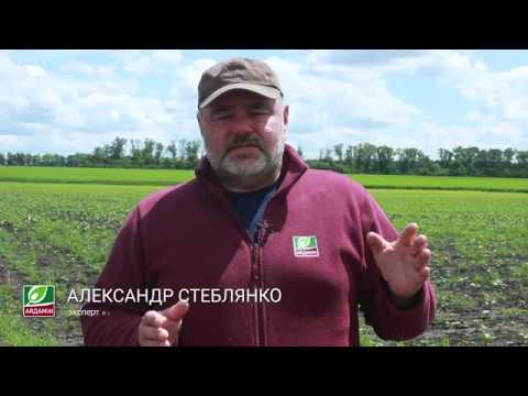 Микроэлементы и антистрессанты