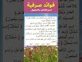 فائدة صرفية و لغوية في اسم الفاعل و اسم المفعول فوائد اللغة العربية النحو العربي علم الصرف