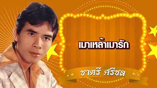 เมาเหล้าเมารัก - ชาตรี ศรีชล [Official Audio]