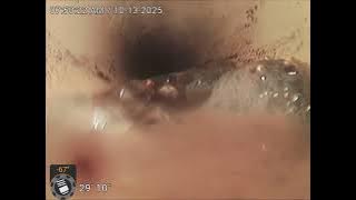 114718 NE 72nd 98686 #8