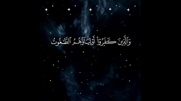 الله ولي الذين آمنوا يخرجهم من الظلمات سورة البقرة 
