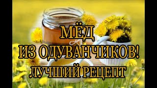 Рецепт меда (варенья) из одуванчиков.Рецепт из одуванчика.Полезные свойства,когда и как применять