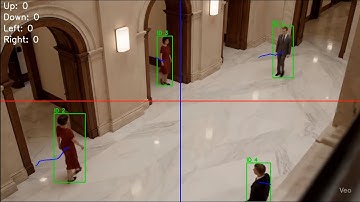 Custom-trained Deep SORT tracking algorithm!
