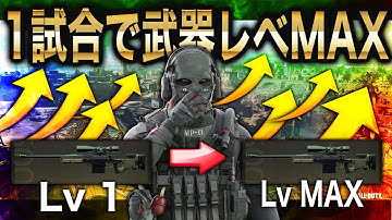 【最新】１試合で武器レベルをMAXに出来る裏ワザ [Warzone2]