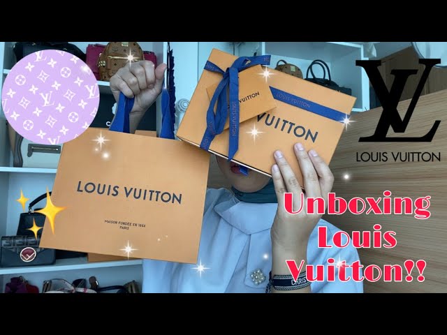 LOUIS VUITTON PALLAS BUMPER IPHONE 13 PRO MAX