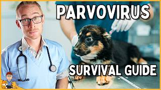 What every puppy owner needs to know about BEATING deadly parvovirus (vet explains)