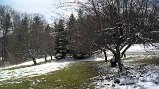 The Weather Yesterday
