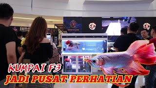 Kumpai F3 Jadi Pusat Perhatian,Di Kontes INDO DRAGON CHAMPIONSHIP 1 || 88RedGallery