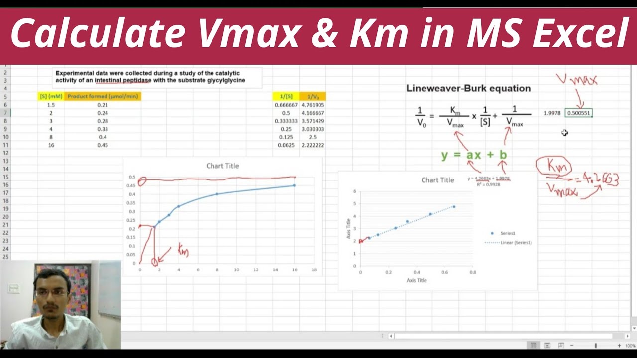 How to make a lineweaver burk plot on excel