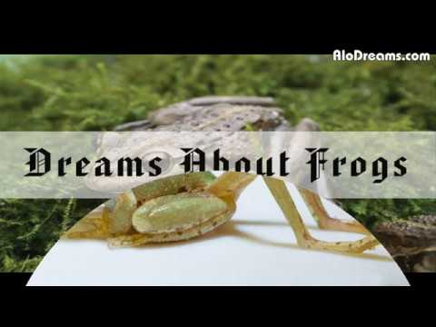 Video: Why does a frog or a toad dream in a dream for a woman and a man