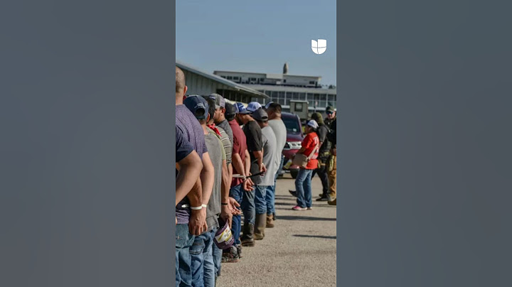 Esto se sabe de la redada de ICE en un hipódromo en Louisiana que dejó 84 inmigrantes detenidos