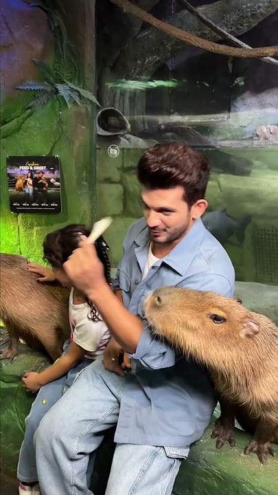 Check Out the Fun Behind the Scenes! | Ft. Arjun Bijlani in Abu Dhabi Totally Recommended