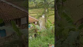 sunda suling perkdanungan