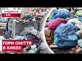 БРУД І СМОРІД У ДВОРАХ КИЄВА! ЧОМУ НЕ ПРИБИРАЮТЬ ВЕЛИКОГАБАРИТНЕ СМІТТЯ?