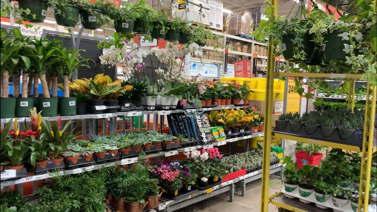 Garden Center Tour and Shopping in Moncton | Homedepot and Walmart ...