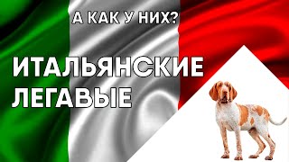 :   