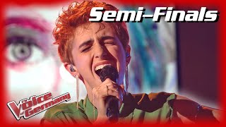 Birdy - Not About Angels (Anny Ogrezeanu) | Semi-Finals | The Voice Of Germany 2022 Resimi