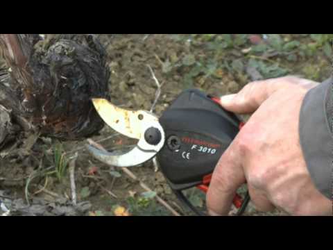 Infaco – Podadora Electrónica F3010 En Viticultura Es