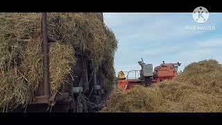 Жизнь в селе#Казахстан#Ещё одна телега сложена.
