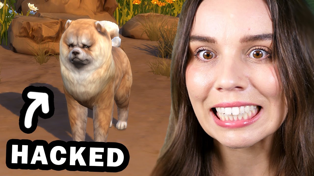 My Sims 4 save was hacked... - YouTube