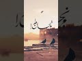 مرنجان دلم را که این مرغ وحشی ز بامی که برخاست مشکل ن شیند
