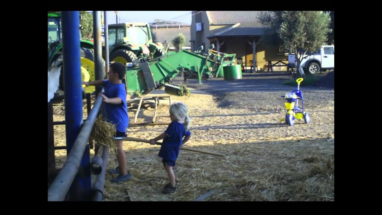 Израиль. Мошав Патиш